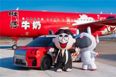 过年开“旺车”？大型豪华汽车推荐新思路，看旺仔的极氪009